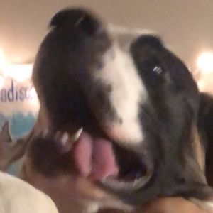 Meet your Posher, Maddie